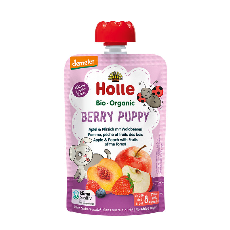 HOLLE - Organic Fruit Pouch 100g | 12 Pack - 10 OPTIONS