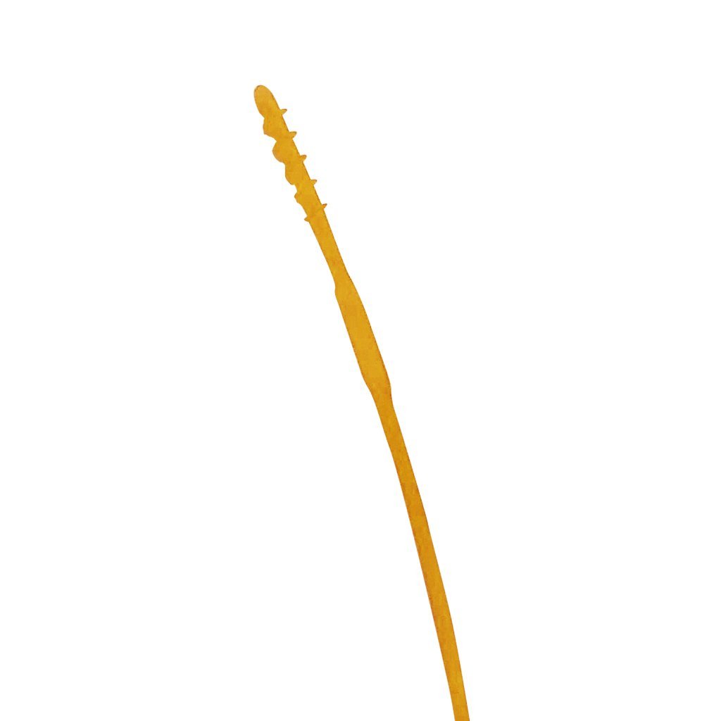 b.box 5pc Silicone Straw Set - Very Berry - B.Box - 5 - Baby & Kids - ThePharmacy