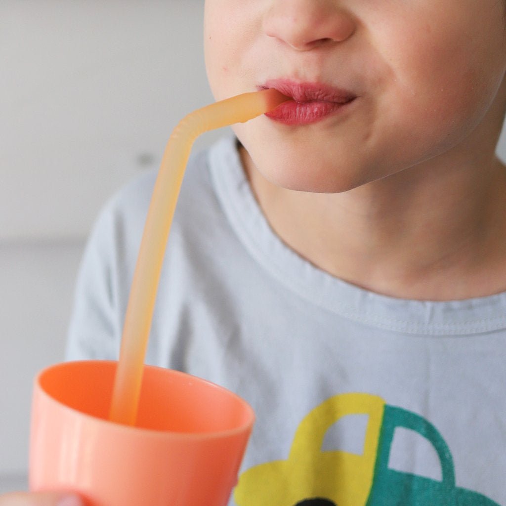 b.box Silicone Straw Travel Set - B.Box - 7 - Baby & Kids - ThePharmacy