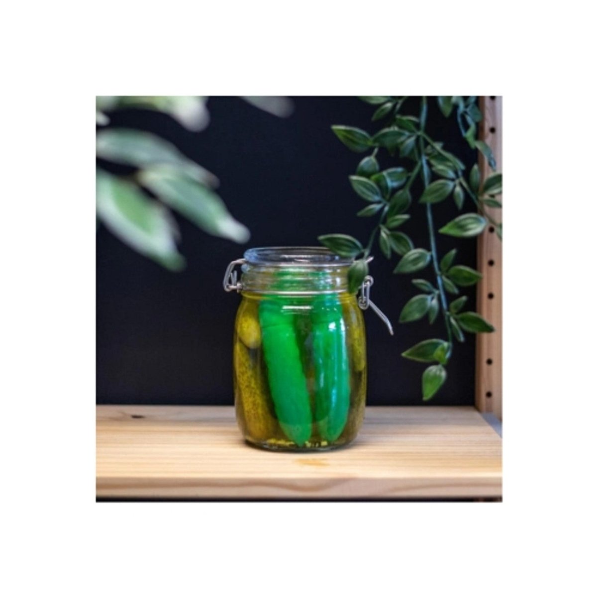 Emojibator - Pickle Emojibator (USB) - Emojibator - 3 - Sexual Health - ThePharmacy