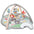 SKIP HOP - Activity Gym - 4 OPTIONS - ThePharmacy - 4 - ThePharmacy