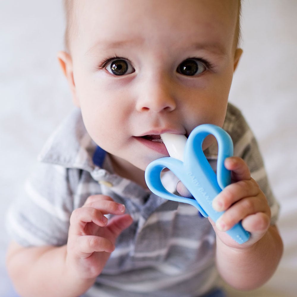 Baby Banana Infant & Toddler Toothbrush in One - Blue - Baby Tooth Land - 5 - Baby & Kids - ThePharmacy