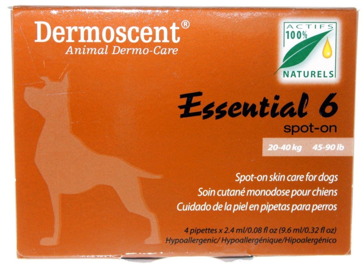 Blackmores Dermoscent Essential 6 Large Dog (4 pip) - Blackmores - 1 - Brands - ThePharmacy