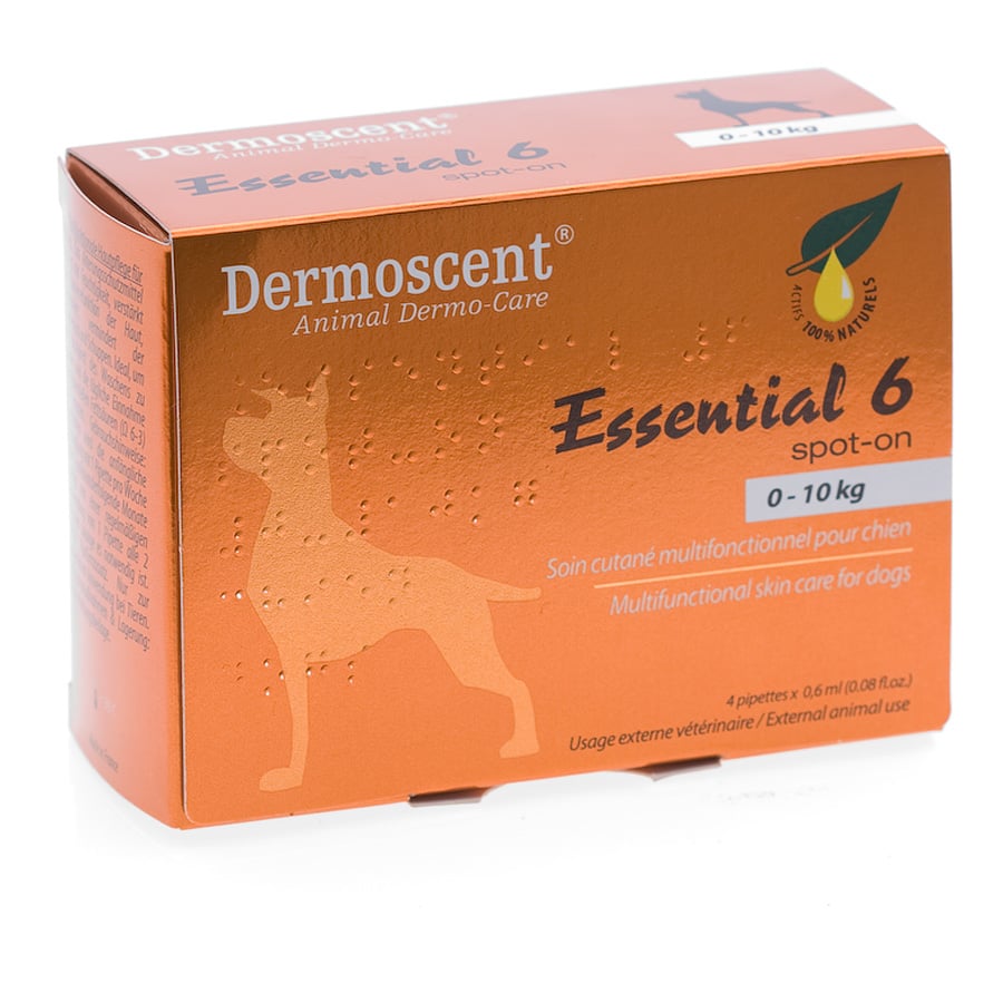 Blackmores Dermoscent Essential 6 Small Dog (4 pip) - Blackmores - 1 - Brands - ThePharmacy