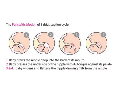 Cherub Baby Standard Neck Slow Flow Nipple (2 Pack) - Cherub Baby - 2 - Baby & Kids - ThePharmacy