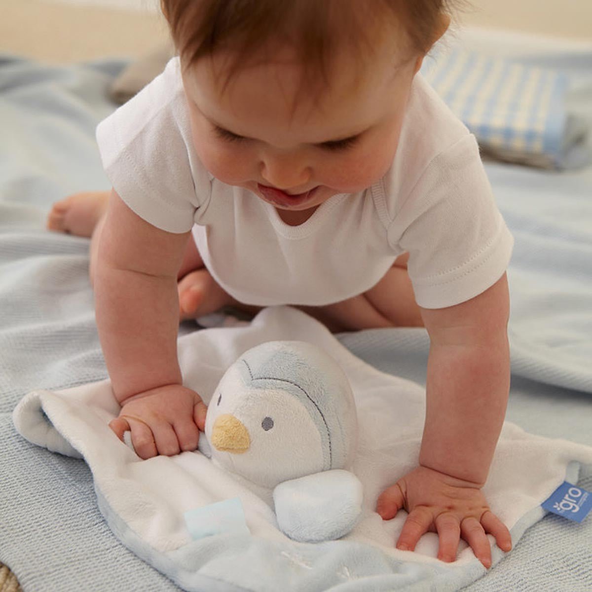 Gro Friend Comforter - Percy the Penguin - Gro - 3 - Baby & Kids - ThePharmacy