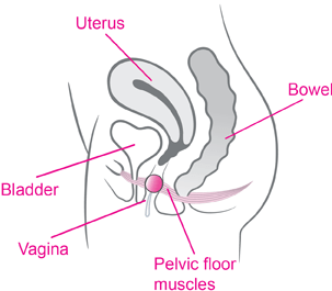 Intimina Laselle Kegel Exercisers 28g - Intimina - 3 - Sexual Health - ThePharmacy