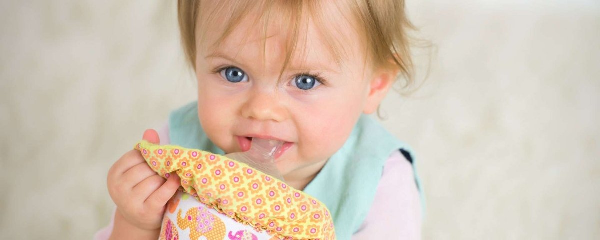 Warmze Portable Bottle Warmer - Pink Elephant Starter Kit + BONUS Refill Kit - Warmze - 3 - Baby & Kids - ThePharmacy